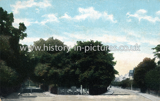 Palmerston Road, Buckhurst Hill, Essex. c.1905